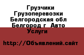 Грузчики Грузоперевозки - Белгородская обл., Белгород г. Авто » Услуги   